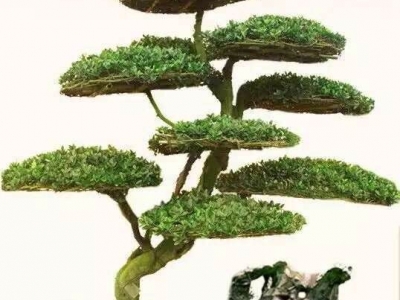 鋁型材邊角線(xiàn)生產(chǎn)現(xiàn)場(chǎng)
